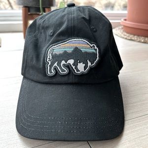 Patagonia Baseball Hat
